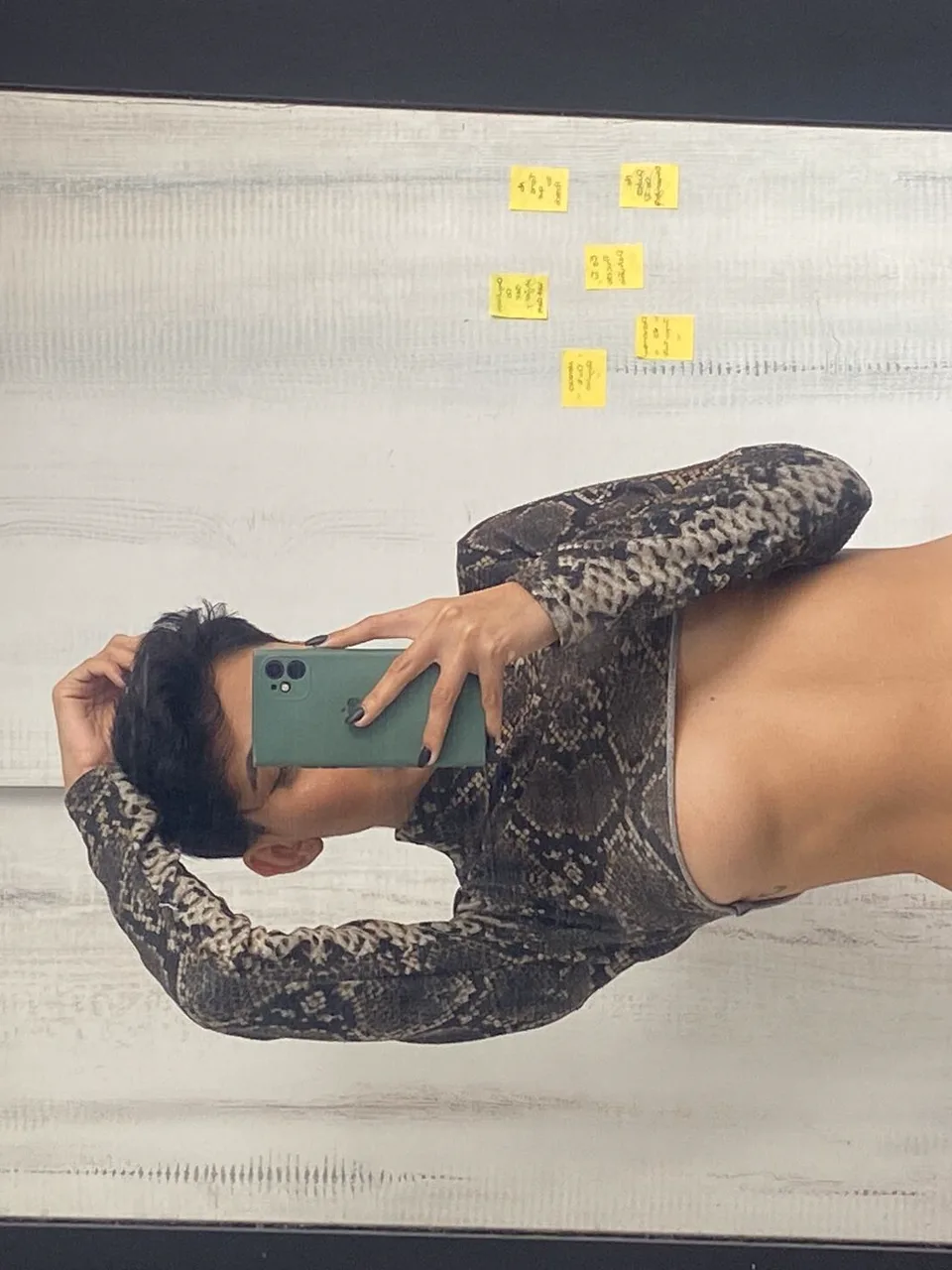 Vanisha, Telegram sexting photo 6